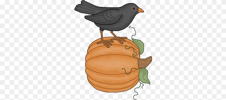 Country Autumn Fall Pumpkin And Crow Clip Art Crow On Pumpkin Clipart, Animal, Bird, Blackbird, Food Free Png Download