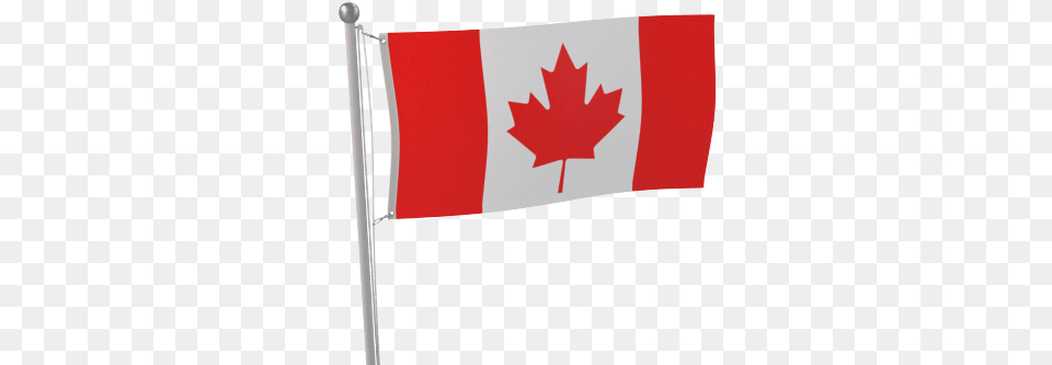 Country Flags Canada Flag Vector, Canada Flag, Leaf, Plant Png