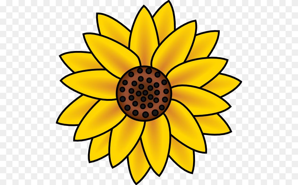 Country Flowers Cliparts, Daisy, Flower, Plant, Sunflower Png