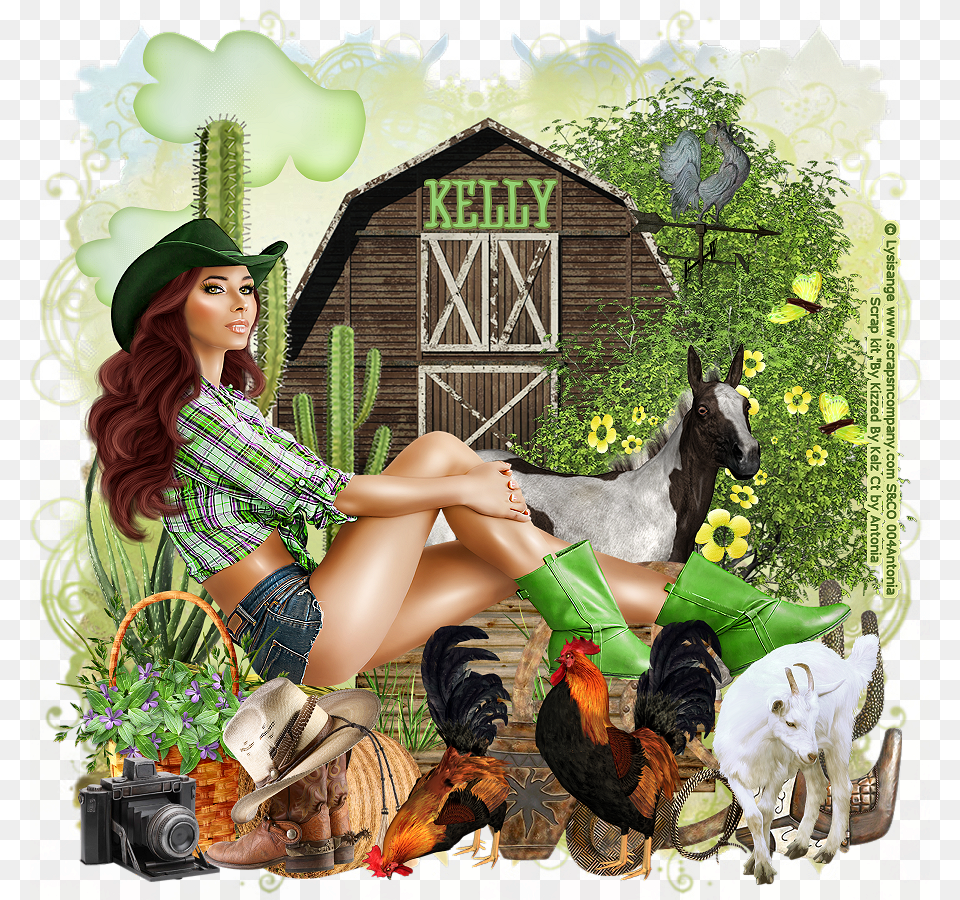 Country Girl Illustration, Adult, Poultry, Person, Woman Free Png