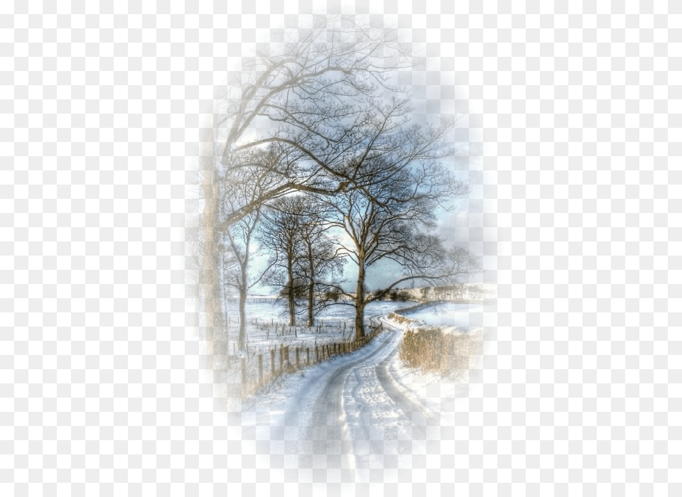 Country Lanes In Winter, Scenery, Outdoors, Nature, Weather Png