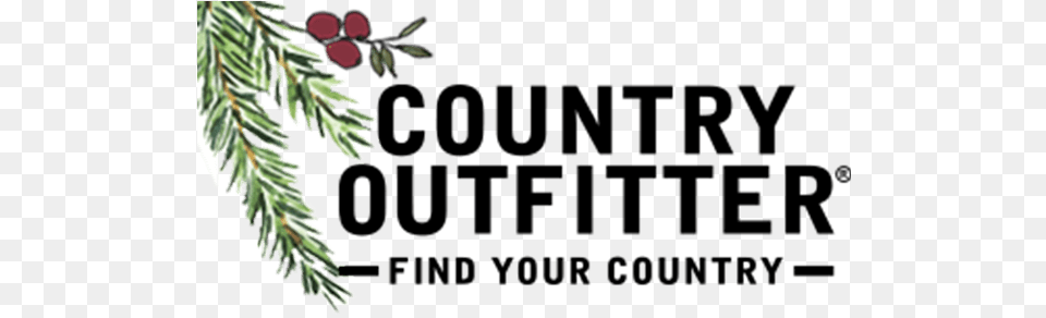 Country Outfitter, Conifer, Fir, Plant, Tree Free Transparent Png