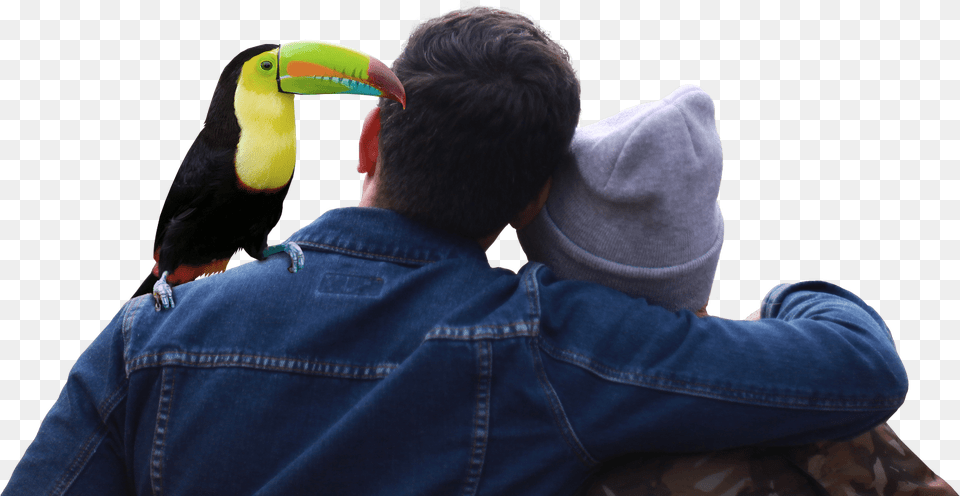 Couple And Toucan Couple From The Back, Animal, Bird, Adult, Person Free Png Download