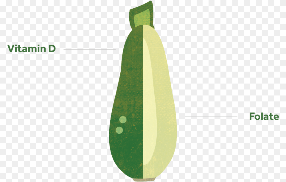 Courgette 01 Zucchini, Food, Plant, Produce, Squash Png Image