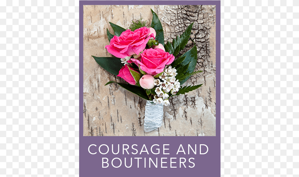 Coursage And Boutineers Garden Roses, Flower, Flower Arrangement, Flower Bouquet, Plant Free Png Download