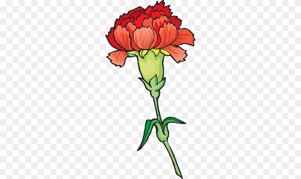 Cousin Daisy Cliparts, Carnation, Flower, Plant, Person Png Image