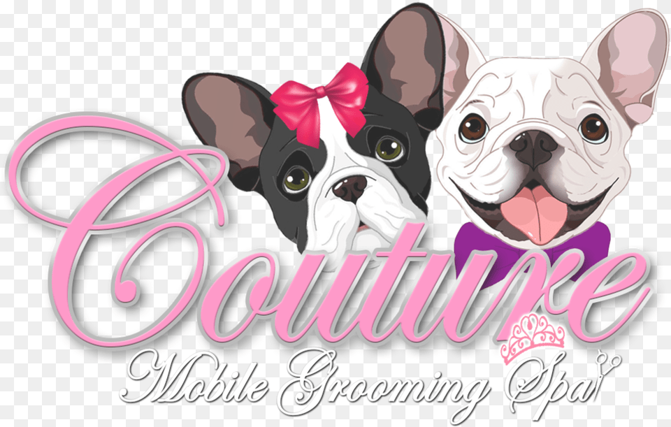 Couture Mobile Grooming Spa Logo Matte French Bulldog, Animal, Canine, Dog, French Bulldog Png Image