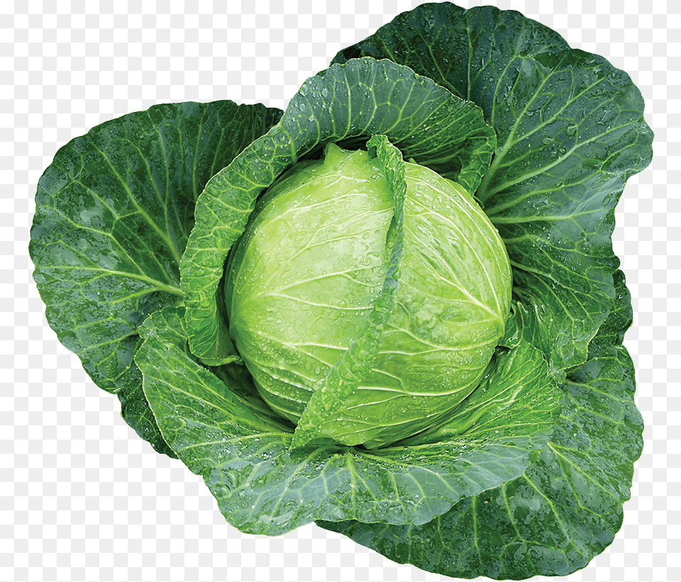 Couve, Food, Leafy Green Vegetable, Plant, Produce Png Image