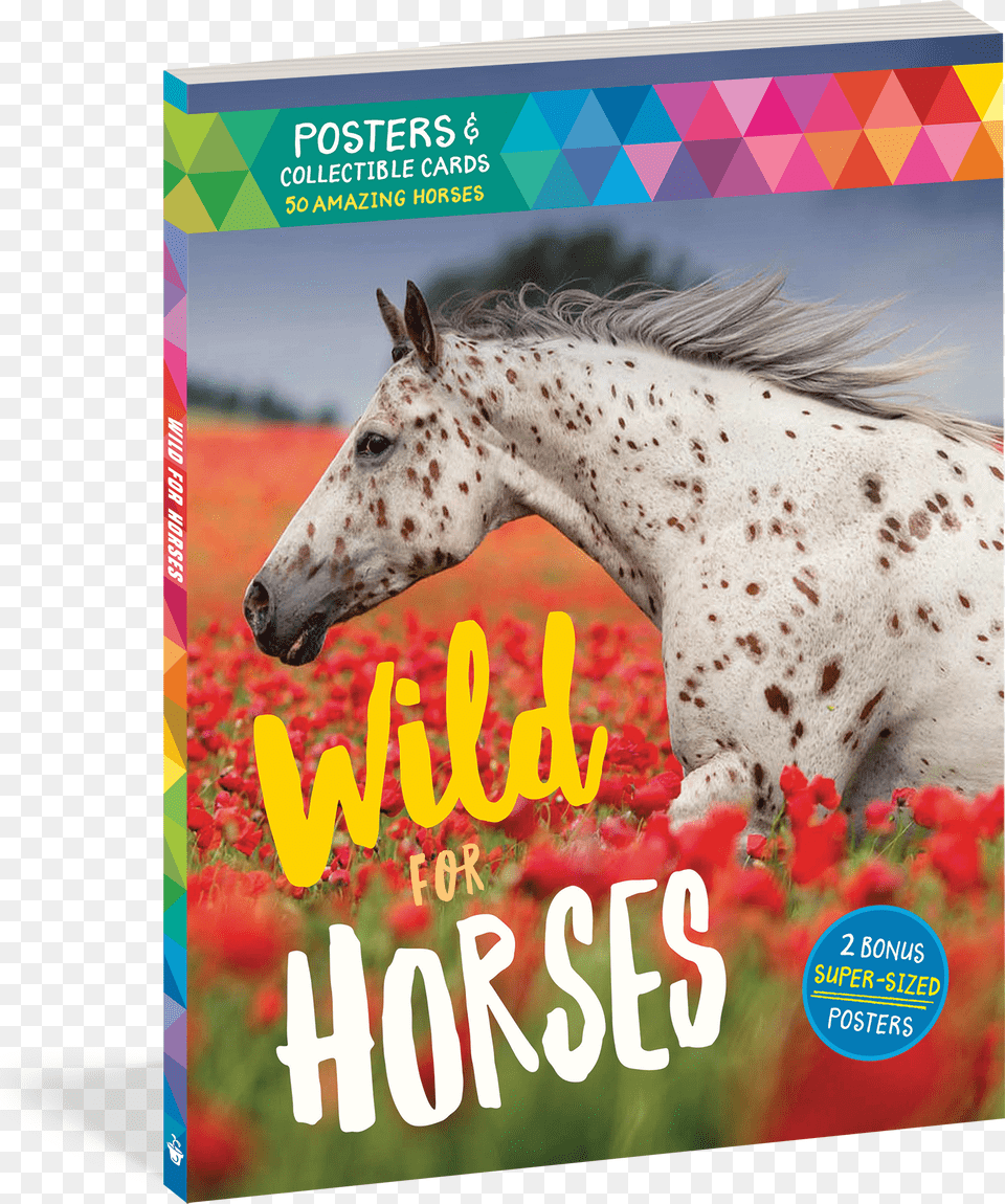 Cover, Animal, Horse, Mammal, Advertisement Free Png