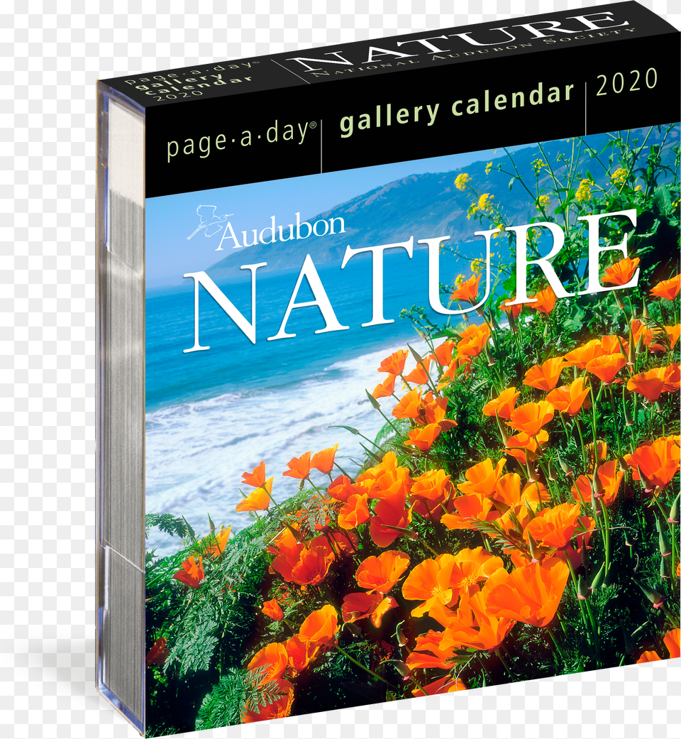 Cover Free Png Download