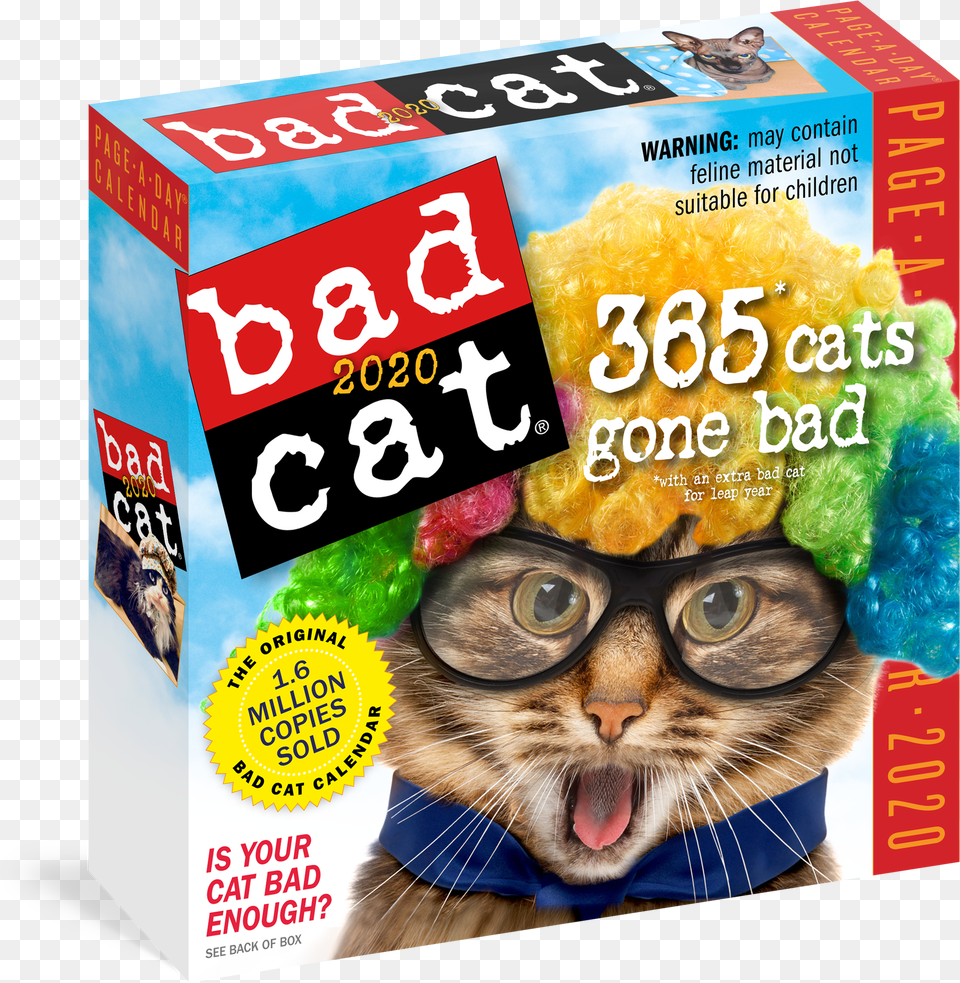Cover Bad Cat Book Png Image