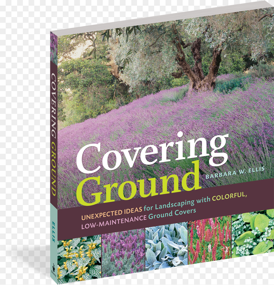 Cover Covering Ground Unexpected Ideas For Landscaping With Free Png