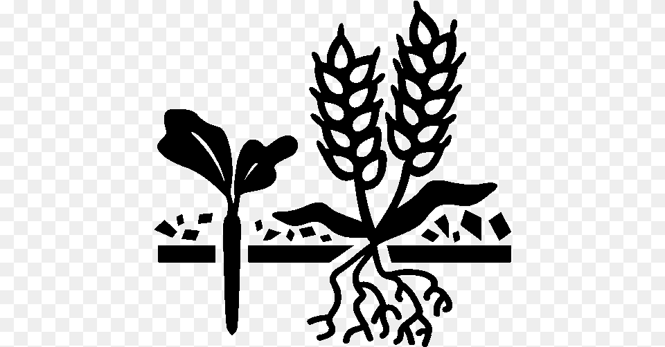 Cover Crops Icon Cash Crops Black And White, Gray Free Png Download