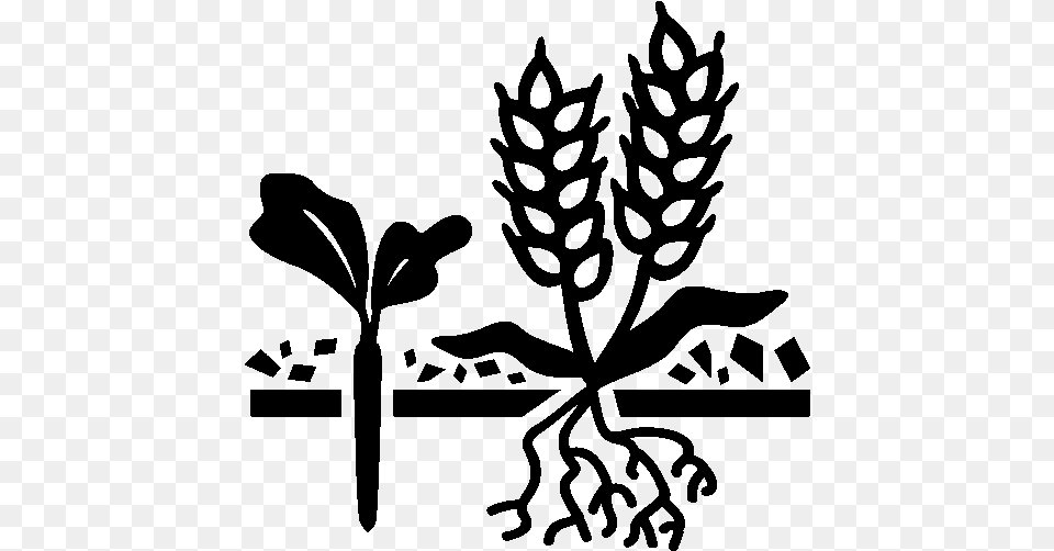 Cover Crops Icon Logo Stencil About Soil And Water Conservation, Gray Free Transparent Png