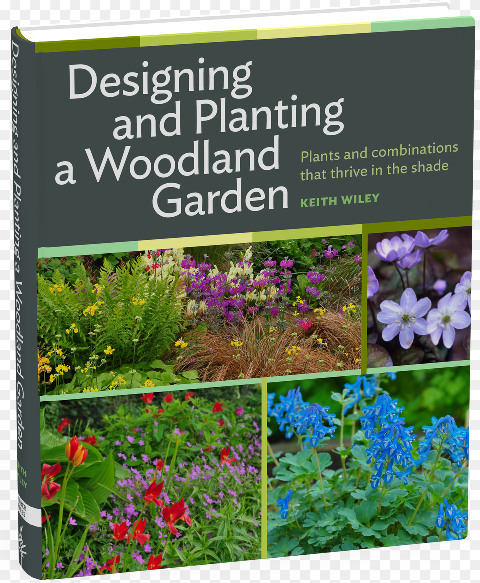 Cover Designing And Planting A Woodland Garden Plants And Free Transparent Png