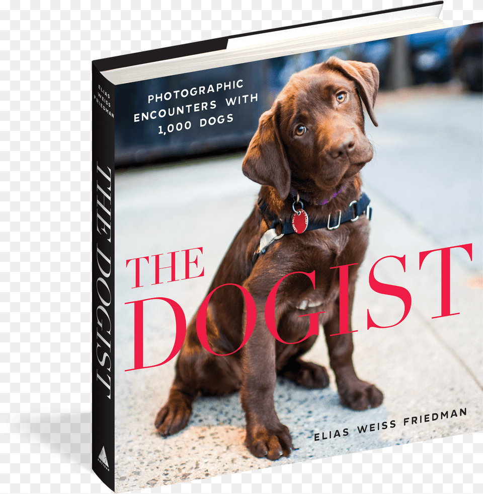 Cover Dogist Book Free Png Download