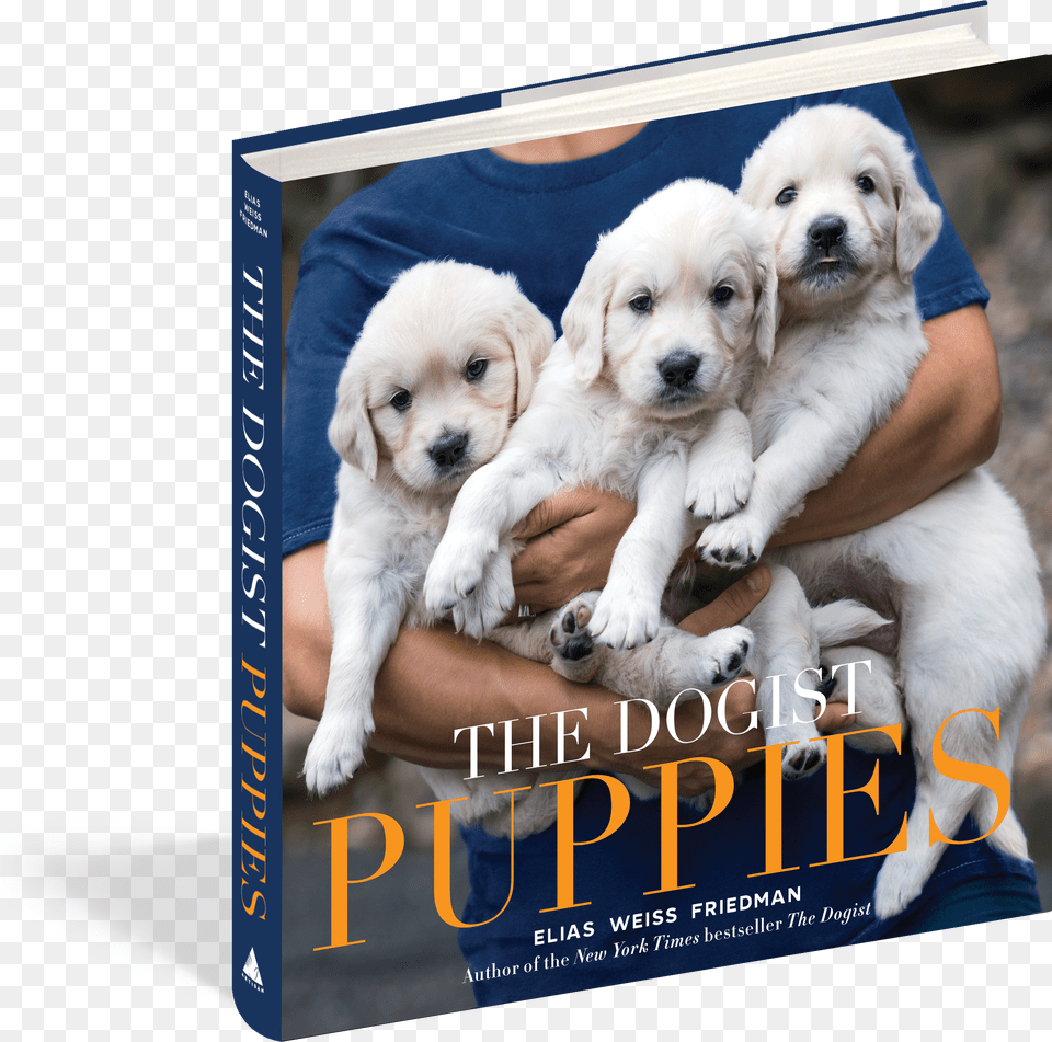 Cover Dogist Puppies, Plush, Toy, Animal, Mammal Png Image