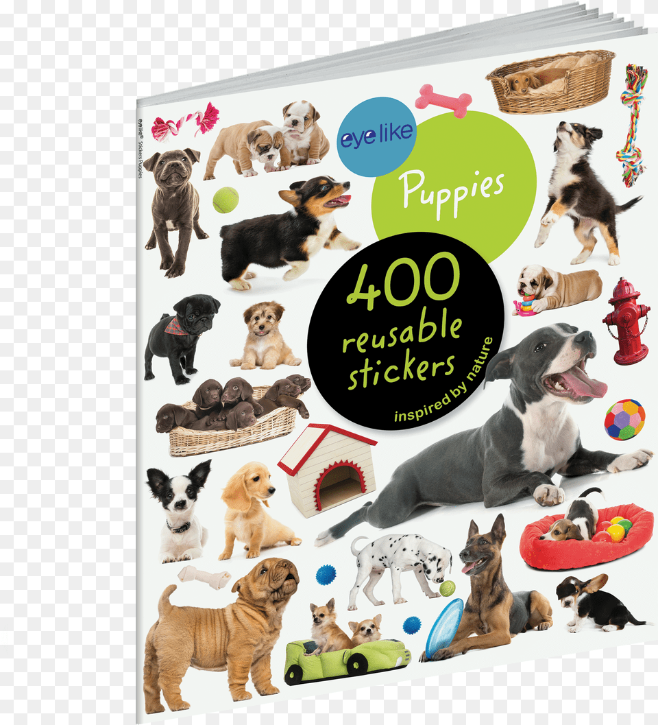 Cover Eyelike Stickers Puppies, Flower, Lupin, Plant, Lavender Free Transparent Png