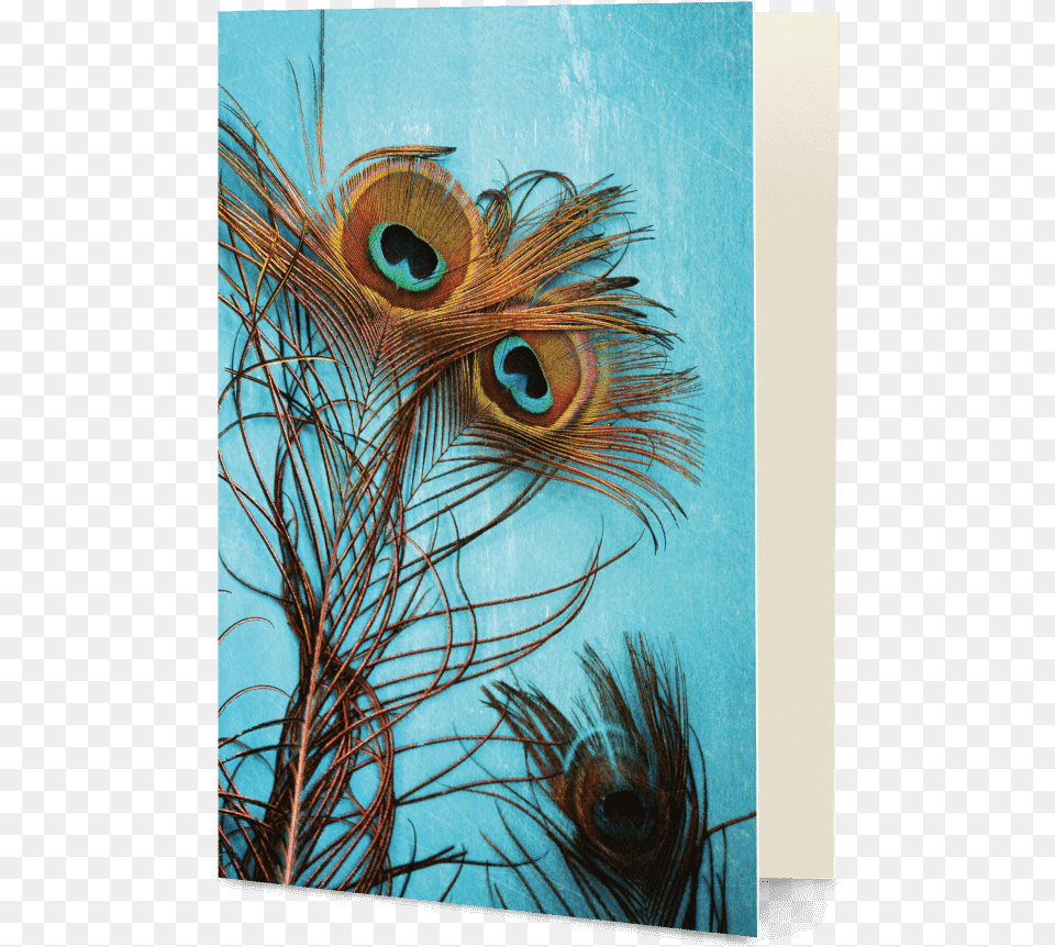Cover For Redmi Note 5 Pro Peacock Feathers, Art, Painting, Pattern, Animal Free Transparent Png