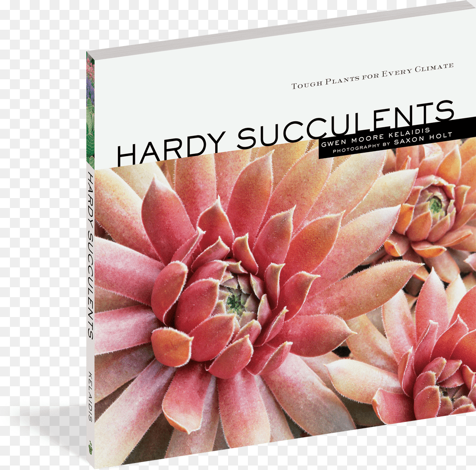 Cover Hardy Succulents Ebook Free Transparent Png