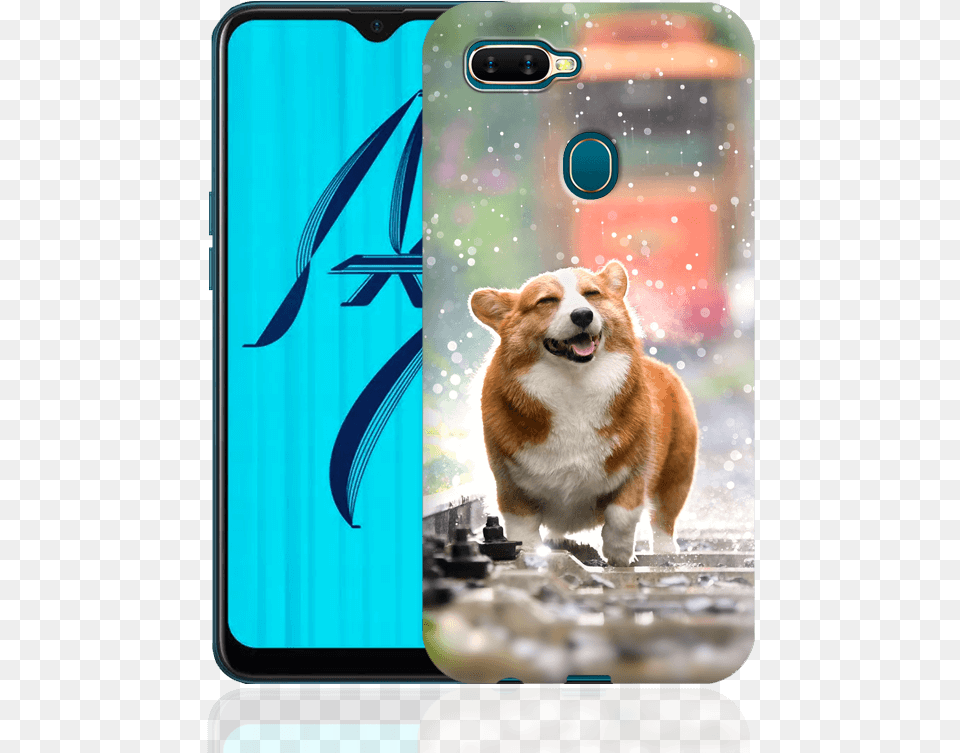 Cover Oppo Ax7 Corgi Wallpaper For Phone, Electronics, Mobile Phone, Animal, Canine Free Transparent Png