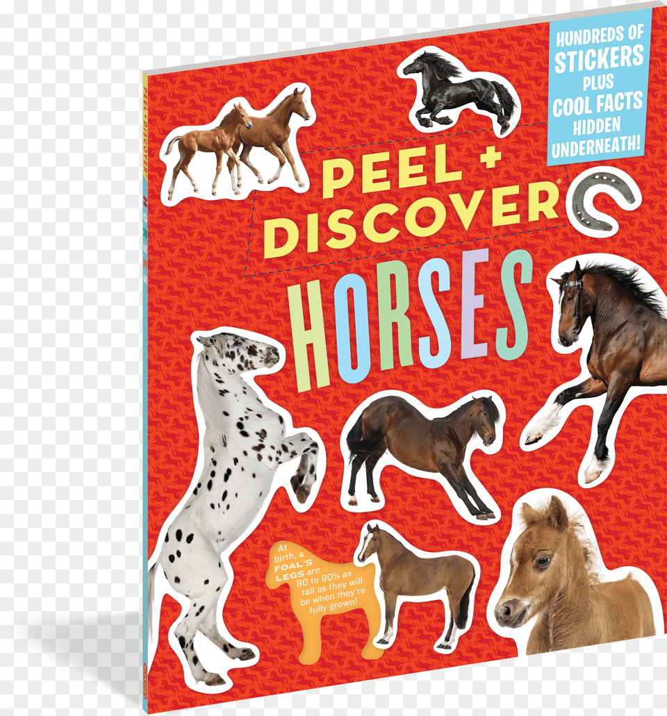 Cover Peel Discover Horses, Chart, Plot, Astronomy, Outer Space Free Png