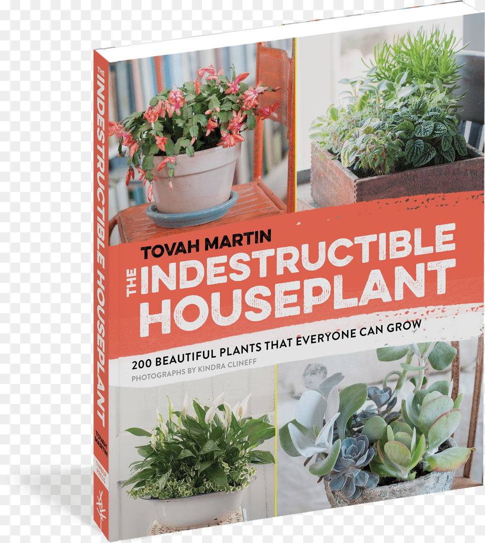 Cover Plant Ugly Indestructible Free Png Download