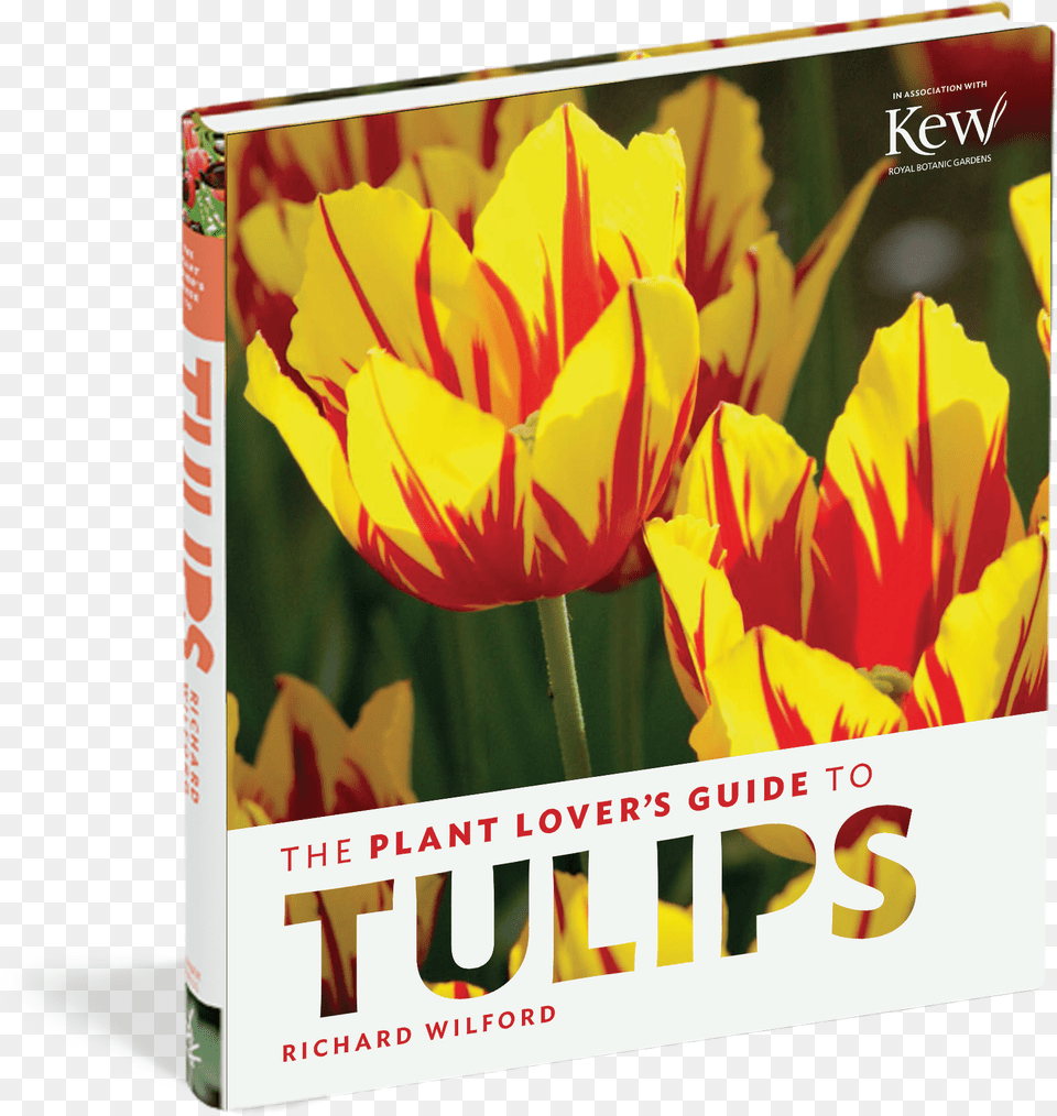 Cover Poster, Flower, Plant, Book, Publication Free Transparent Png