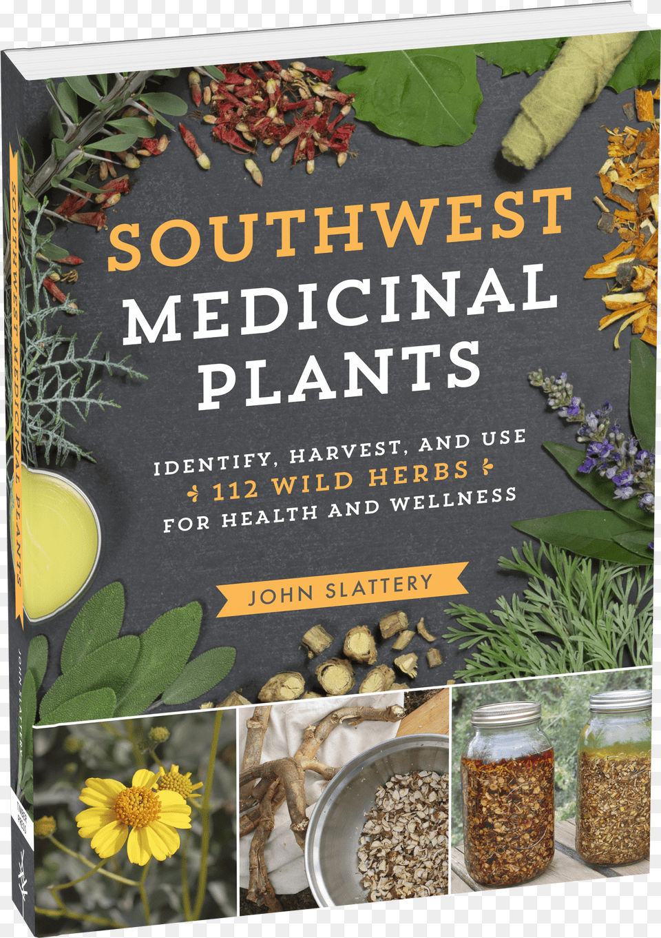 Cover Southwest Medicinal Plants, Light, Logo, Text Png Image