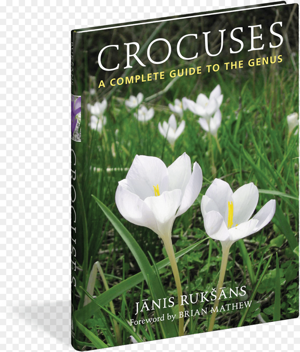Cover Spring Crocus, Flower, Petal, Plant, Book Free Transparent Png