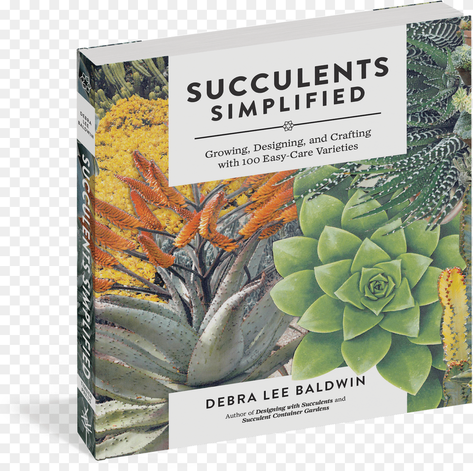 Cover Succulents Simplified By Debra Lee Baldwin, Stencil, Astronomy, Moon, Nature Free Png