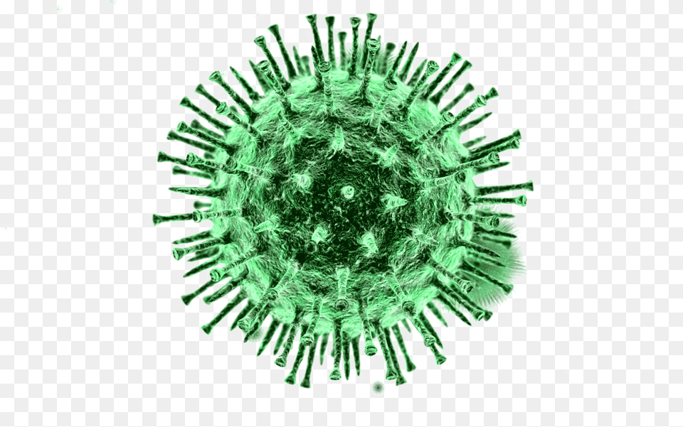 Covid Virus, Accessories, Green, Plant, Gemstone Free Png