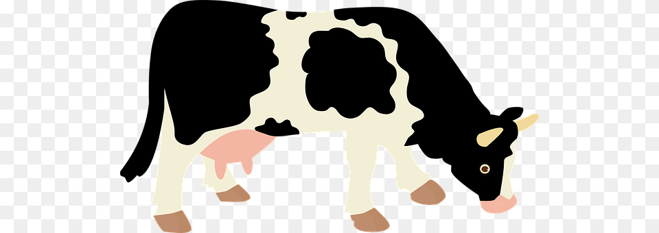 Cow Animal, Cattle, Dairy Cow, Livestock Free Transparent Png