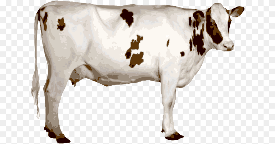 Cow, Animal, Cattle, Livestock, Mammal Free Transparent Png