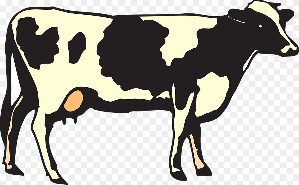 Cow, Animal, Cattle, Dairy Cow, Mammal Png Image