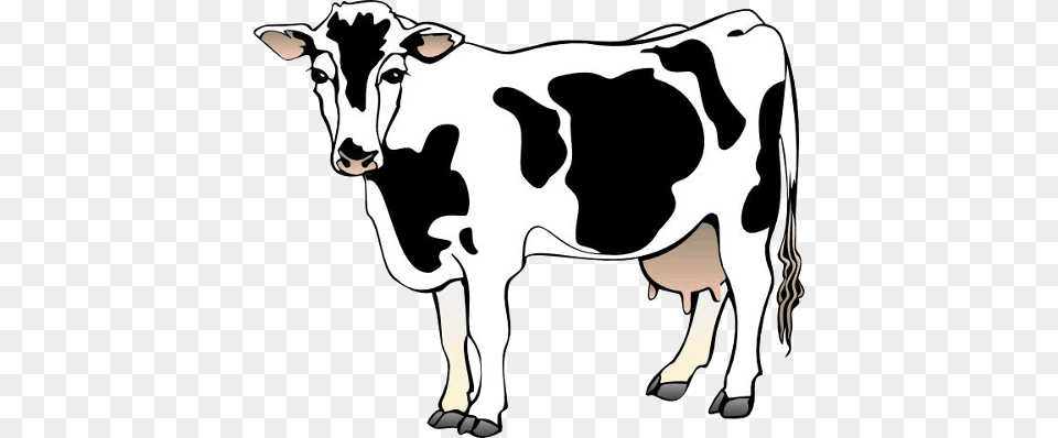 Cow, Animal, Cattle, Dairy Cow, Livestock Free Png Download