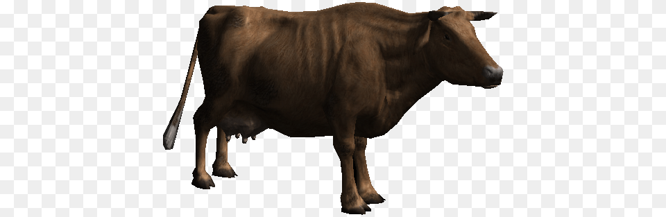 Cow, Animal, Bull, Mammal, Cattle Free Png Download