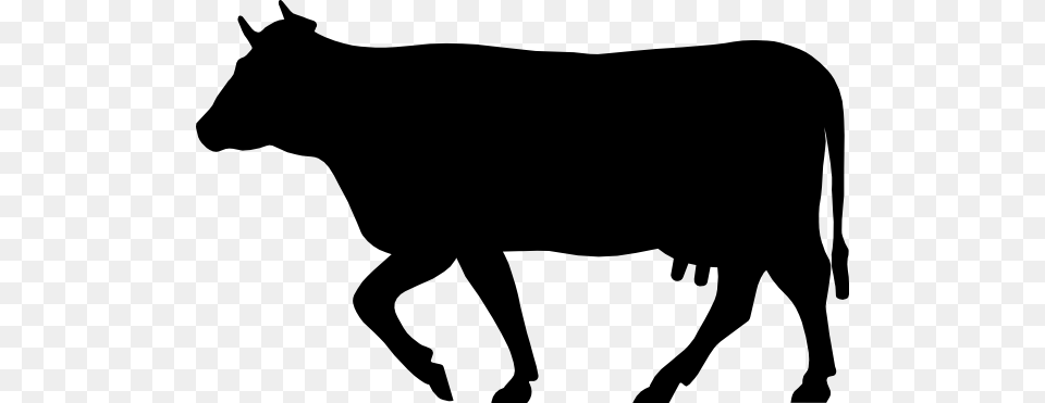 Cow, Silhouette, Mammal, Animal, Bull Png Image