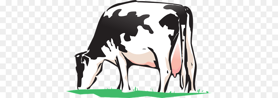 Cow Livestock, Animal, Cattle, Dairy Cow Free Png