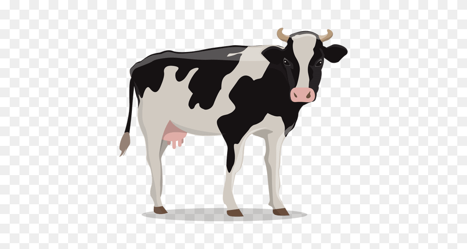 Cow, Animal, Cattle, Dairy Cow, Livestock Free Png Download