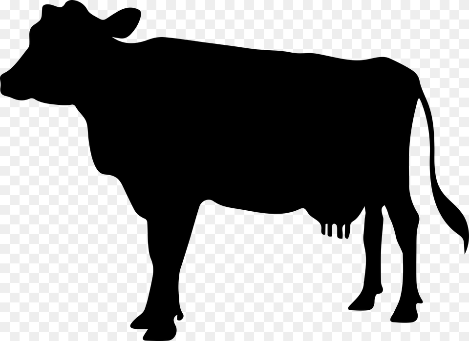 Cow, Gray Free Transparent Png
