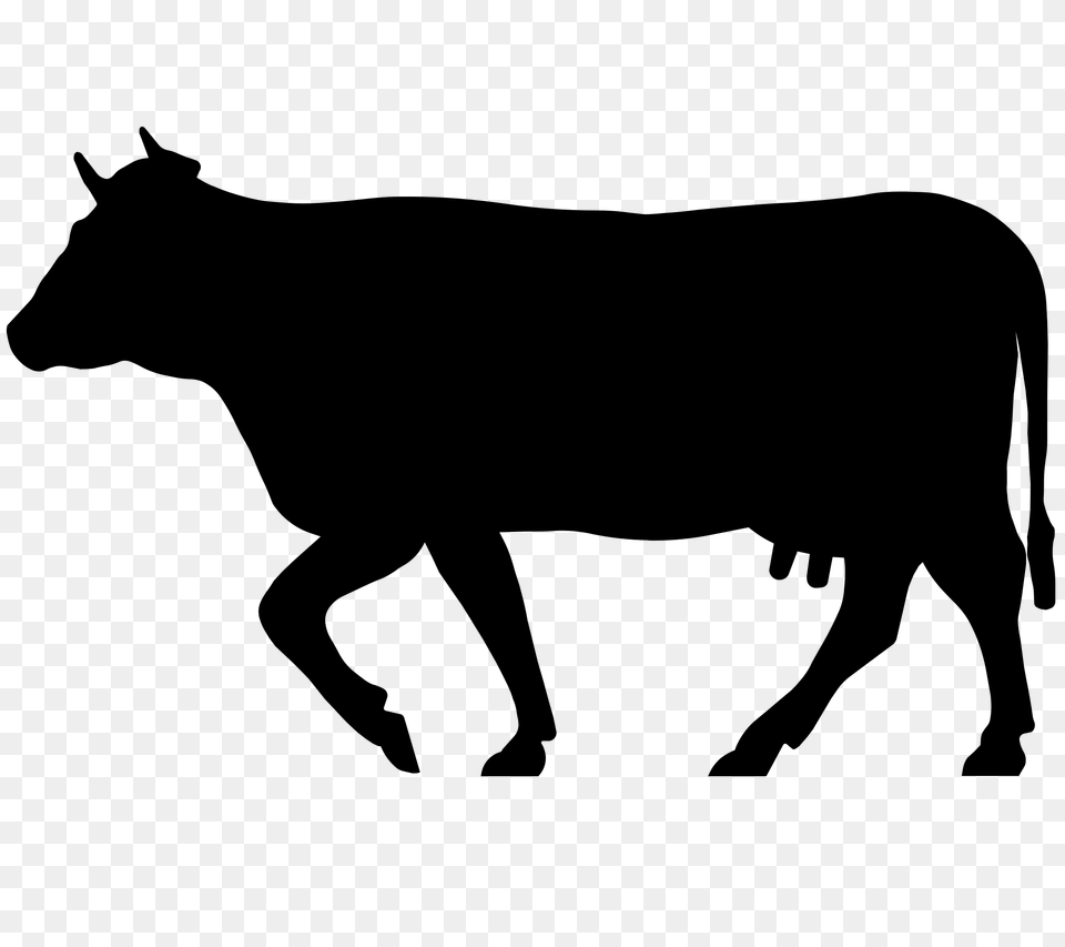 Cow, Gray Free Png Download