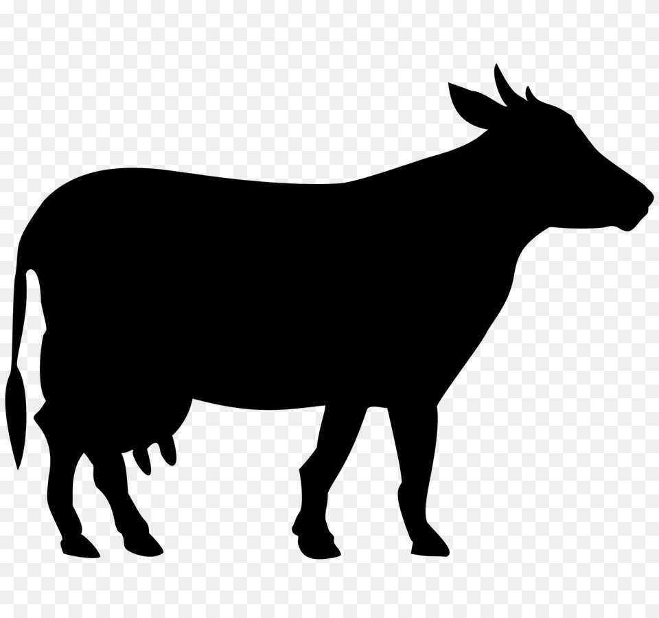 Cow, Gray Png