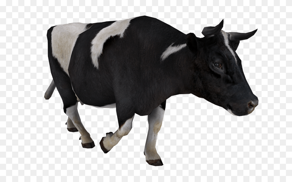 Cow, Animal, Cattle, Livestock, Mammal Free Transparent Png