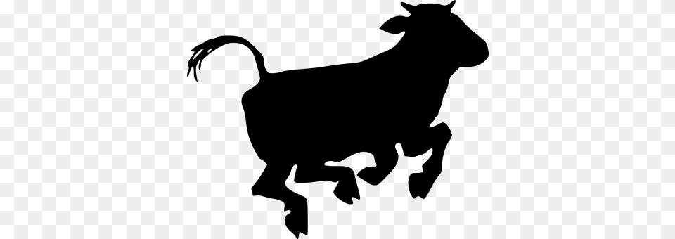 Cow Gray Png Image