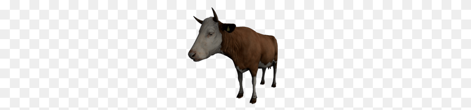Cow, Animal, Bull, Mammal, Horse Free Png Download