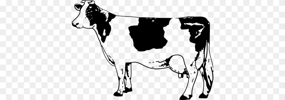 Cow Gray Free Png Download