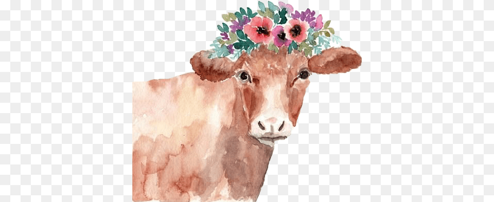 Cow, Animal, Cattle, Livestock, Mammal Free Png