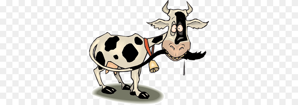 Cow Animal, Cattle, Dairy Cow, Livestock Free Transparent Png