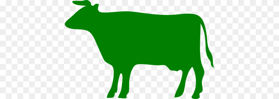 Cow Animal, Cattle, Livestock, Mammal Free Png